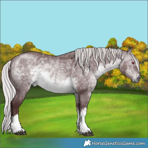 Horse Color:White Spotted Chocolate Silver Brown Chinchilla 