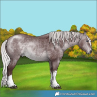 Horse Color:White Spotted Chocolate Silver Brown Chinchilla