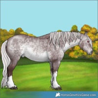 Horse Color:White Spotted Chocolate Silver Brown Chinchilla