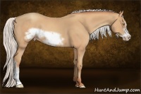 Horse Color:Silver Amber Champagne Frame 