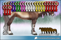 Horse Color:Chocolate Bay Onyx