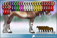 Horse Color:Chocolate Bay Onyx