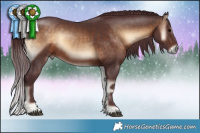 Horse Color:Chocolate Bay Onyx 