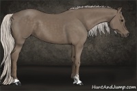 Horse Color:Silver Smoky Black Sabino 