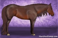 Horse Color:Chocolate Brown 