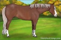 Horse Color:Chocolate Silver Brown Roan Splash 