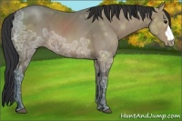 Horse Color:Brown Ice 