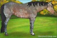 Horse Color:Brown Ice 