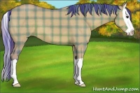 Horse Color:Watercolor Plaid  Bay Dun Splash 