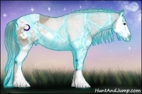 Horse Color:Thunderstruck Brown Splash Appaloosa 