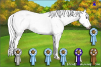 Horse Color:Gray Bay Dun Tobiano Varnish 