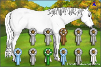 Horse Color:Gray Palomino Tobiano 