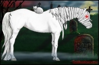 Horse Color:Watercolor Plaid Cremello Dun Splash Tobiano Appaloosa