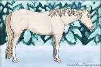 Horse Color:Perlino Roan 
