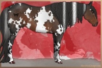 Horse Color:White Spotted Liver Chestnut 