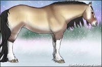 Horse Color:Bay Onyx 