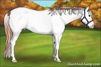 Horse Color:Bay Dun Splash Frame Blanket