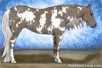Horse Color:White Spotted Silver Smoky Black