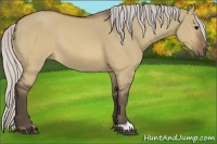 Horse Color:Silver Brown Dun