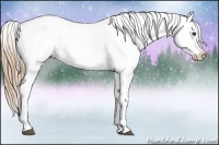 Horse Color:Red Dun Near Fewspot 