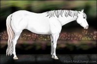 Horse Color:Watercolor Liver Red Onyx Appaloosa 