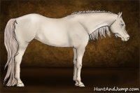 Horse Color:Chocolate Palomino Pearl