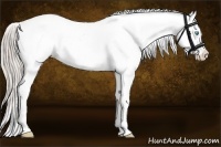 Horse Color:Chocolate Palomino Ice Pearl Appaloosa