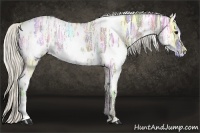 Horse Color:White Spotted Silver Smoky Grullo Ice 