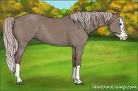 Horse Color:Chocolate Silver Grullo Sabino Splash