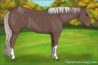 Horse Color:Chocolate Silver Black Tobiano 