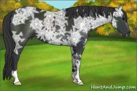 Horse Color:Black Ice 