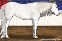 Horse Color:White Spotted Chocolate Palomino Roan Pearl Splash 