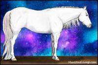 Horse Color:Watercolor White Spotted Perlino Onyx Appaloosa 