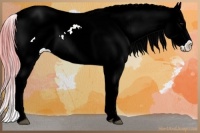 Horse Color:Watercolor Bay Sabino Appaloosa