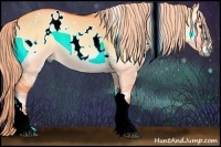 Horse Color:Watercolor White Spotted Chocolate Palomino Onyx Rabicano