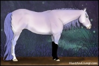 Horse Color:Watercolor Perlino Onyx 