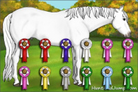 Horse Color:Gray White Spotted Smoky Blue Roan Splash 