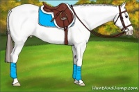 Horse Color:Bay Splash Appaloosa