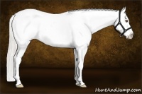 Horse Color:Silver Smoky Grullo Appaloosa 