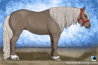 Horse Color:Silver Black 