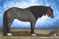 Horse Color:Black Rabicano 