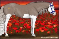 Horse Color:Chocolate Silver Grullo Sabino Splash
