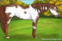 Horse Color:Chestnut Frame 