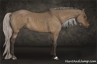 Horse Color:Silver Bay Dun 