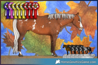 Horse Color:White Spotted Silver Brown Splash Rabicano 