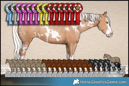 Horse Color:White Spotted Silver Brown Pearl Splash 
