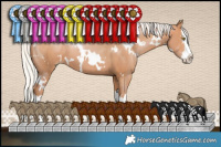 Horse Color:White Spotted Silver Brown Pearl Splash