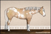 Horse Color:White Spotted Silver Bay Pearl Splash