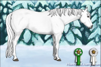 Horse Color:Gray Silver Smoky Black Tobiano