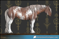 Horse Color:White Spotted Chocolate Silver Brown Ice 